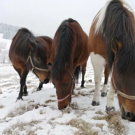 Pod Kasztanem * Stronie Śląskie