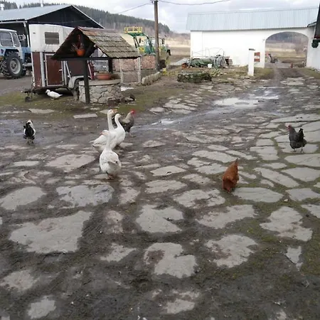 Pod Kasztanem Landhaus