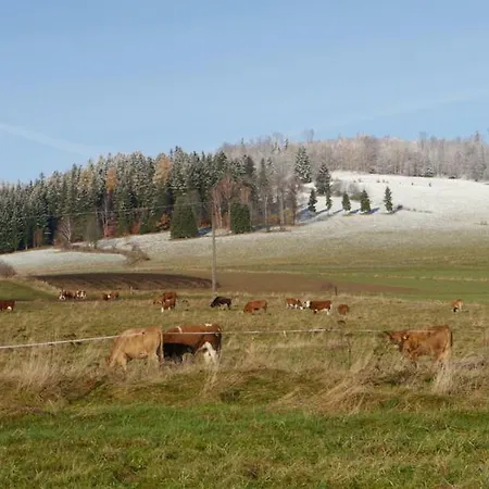Pod Kasztanem Landhaus *
