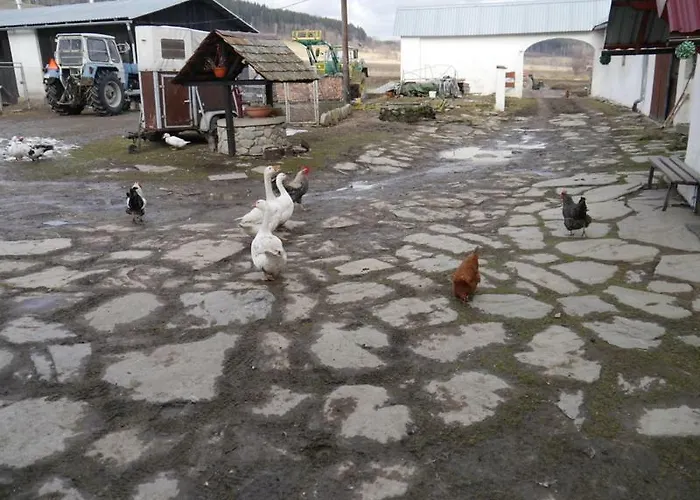 Pod Kasztanem Landsted