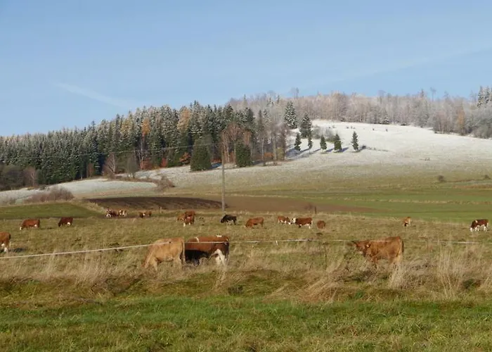 Pod Kasztanem Landsted *